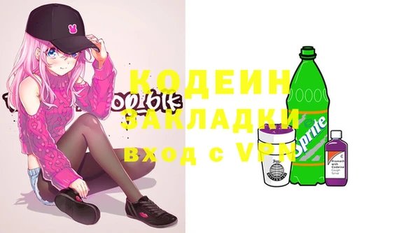 ГАЛЛЮЦИНОГЕННЫЕ ГРИБЫ Бородино