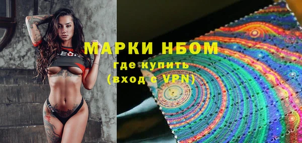 ГАЛЛЮЦИНОГЕННЫЕ ГРИБЫ Бородино