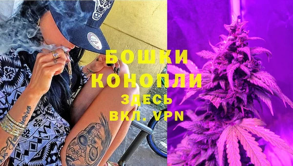 ГАЛЛЮЦИНОГЕННЫЕ ГРИБЫ Бородино