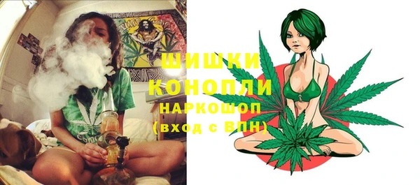 ешки Бронницы