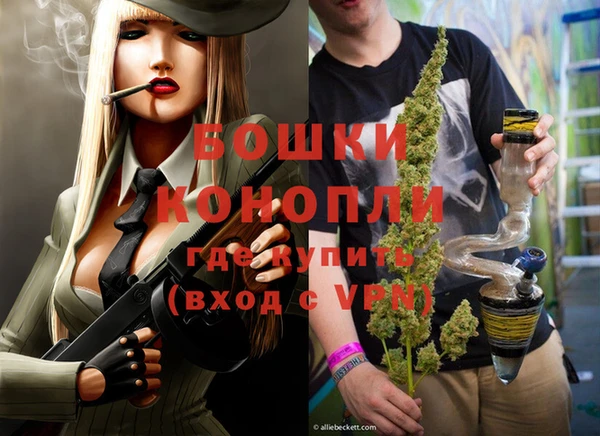 ГАЛЛЮЦИНОГЕННЫЕ ГРИБЫ Бородино
